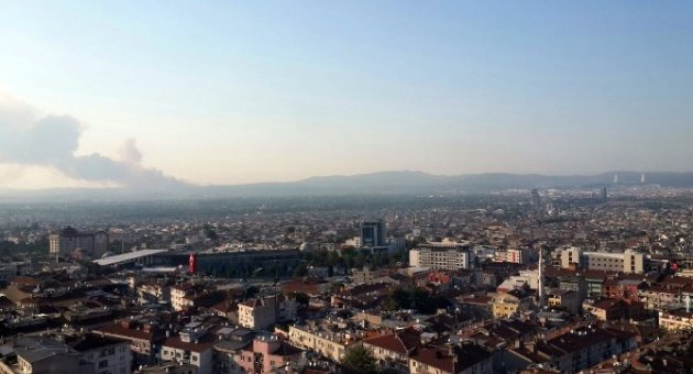 Bursa’da Orman Yangını (1)