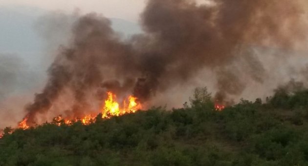 Bursa’da Orman Yangını Büyüyor