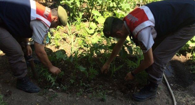 Bursada Uyuşturucu Operasyonu