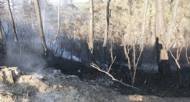 Bursa’daki Orman Yangını Kontrol Altına Alındı