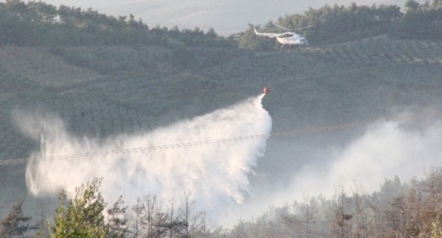 Bursa’daki Orman Yangını Söndürüldü