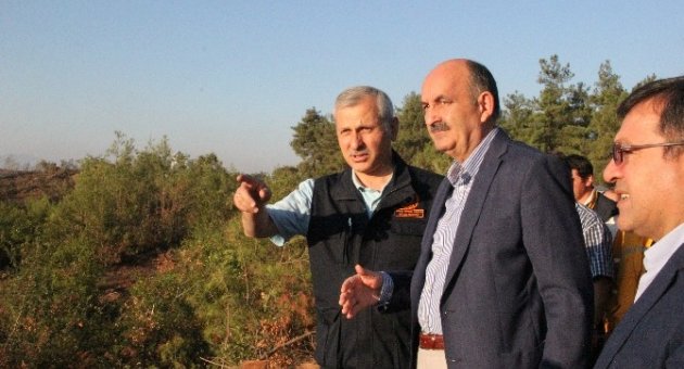 Bursa’daki Orman Yangını Tamamen Söndürüldü