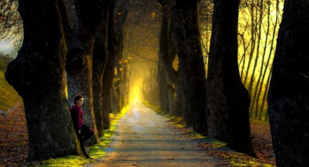 Bursa’nın ‘güz’ Fotoğraflarına Ödül Yağmuru