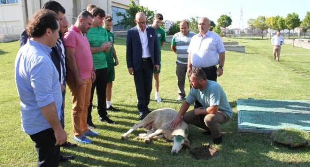 Bursaspor Yeni Sezon Hazırlıklarına Başladı
