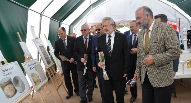 Busmek Çadırı, Kutlu Doğum Programında
