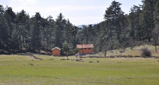 Büyükorhan Kestane, Erik Ve Cevizin Merkezi Olacak