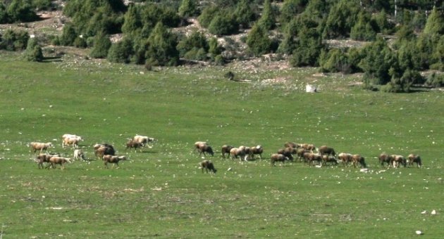Büyükorhan’da Projeler Tamam, Sıra Uygulamada