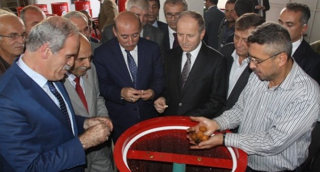Büyükşehir’den İnegöl Köylerine Ceviz Soyma Makinesi