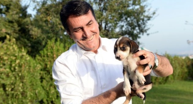 Can Dostlar Artık Sahipsiz Değil
