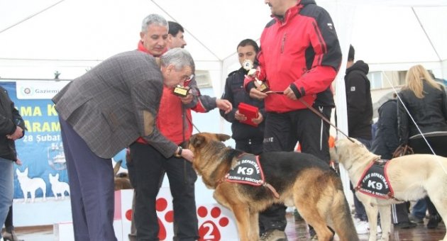 Can Dostların ‘hayat Kurtarma’ Sınavı