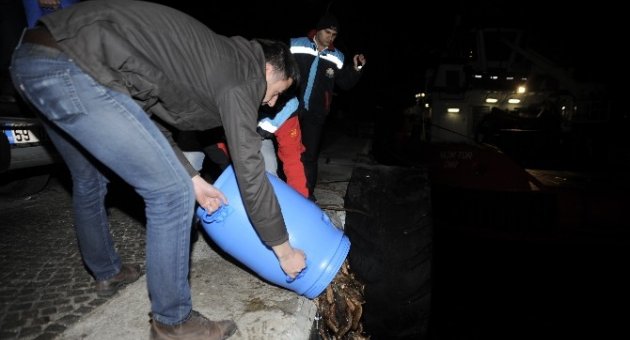 Çanakkale’de Deniz Patlıcanı Operasyonu