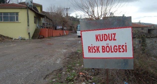 Çanakkale’de Kuduz Karantinası