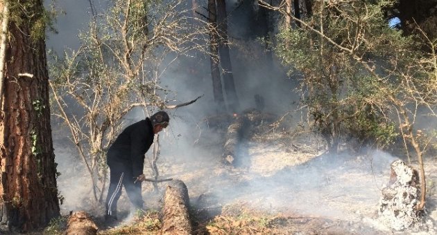Çanakkale’de Savaş Alanlarında Orman Yangını