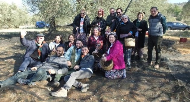 Canan Karatay Gömeç’te Zeytin Hasat Şenliğine Katıldı