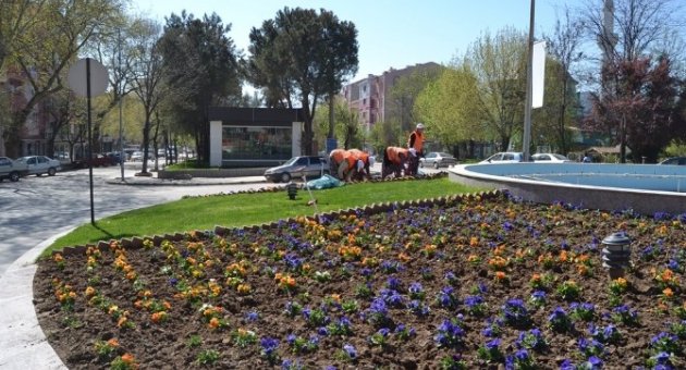Çan’da Bahar Temizliği