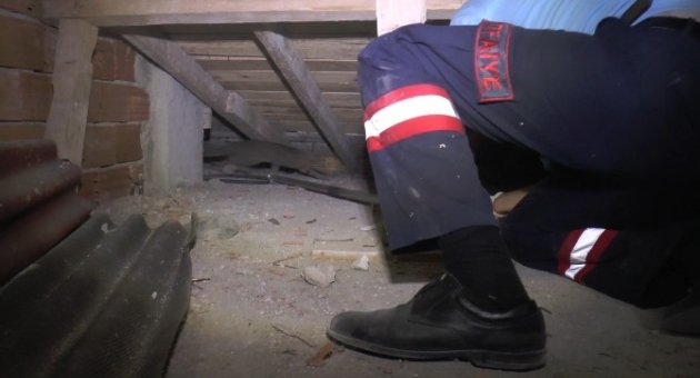 Çatıda Kedi Alarmı