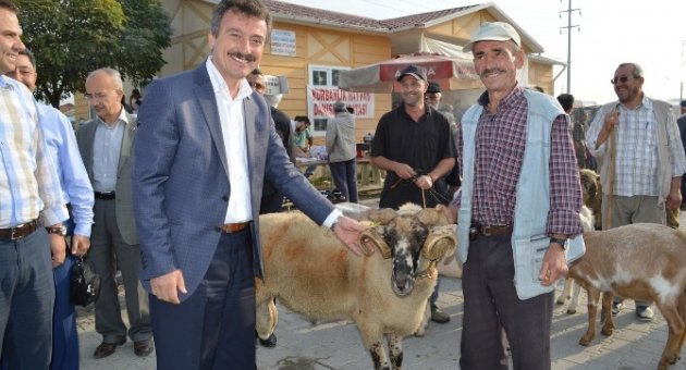 Çelik Hayvan Pazarını Denetledi