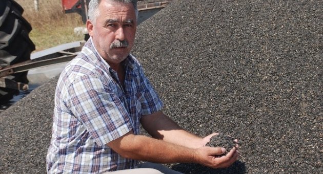 Çerkezköy Yağlı Tohumlar Tarım Satış Kooperatifi 4 Bin 300 Ton Ayçiçeği Alımı Yaptı