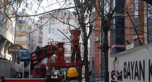 Çerkezköy’de Ağaçlar Budandı