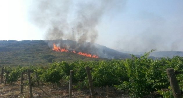 Çeşme’de Makilik Alanda Yangın