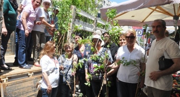 Chp Ödemiş Kadın Kollarından "her Anneye Bir Fidan"