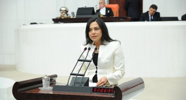Chp Tekirdağ Milletvekili Yüceer, Sera Üreticilerinin Zararını Tbmm’de Dile Getirdi