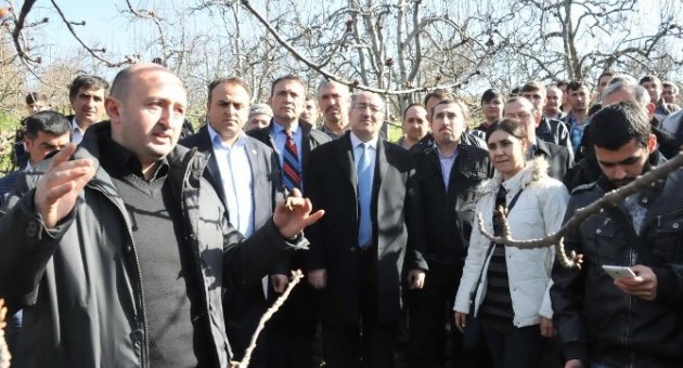 Çiftçilere Meyve Budama Kursu