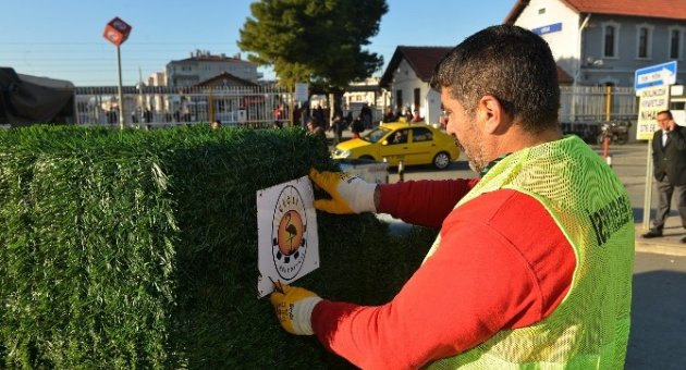 Çiğli’de Çöp Konteynerleri Yeşilleniyor