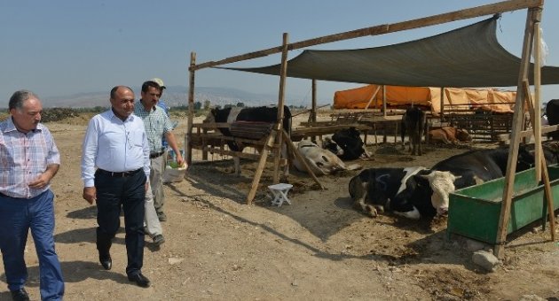 Çiğli’de Kurban Kesim Yeri Bayrama Hazır