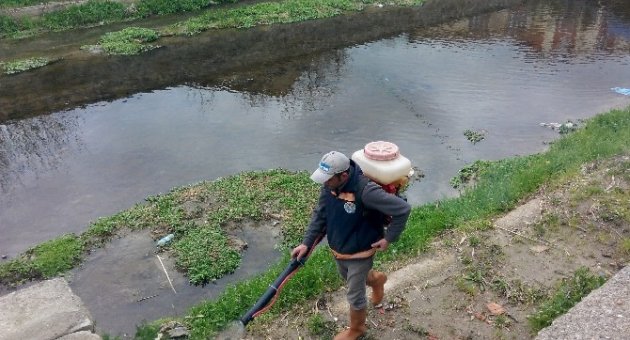 Çınarlı Dere İlaçlama Çalışmaları Başladı