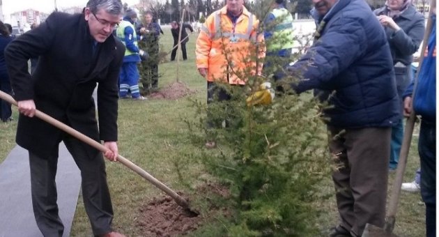 Çorlu Devlet Hastanesi’nde Fidan Dikim Şenliği Gerçekleştirildi