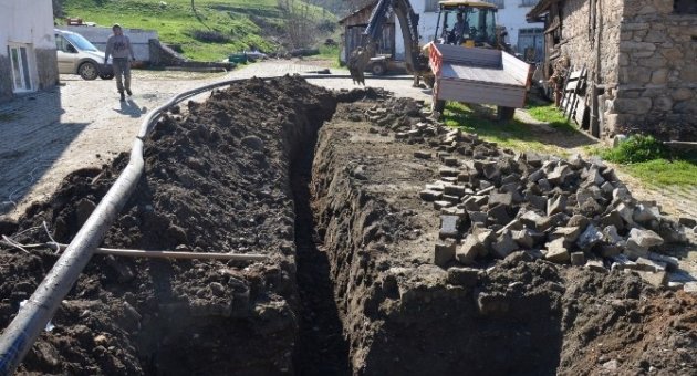 Dağ Köylerine Buski Neşteri