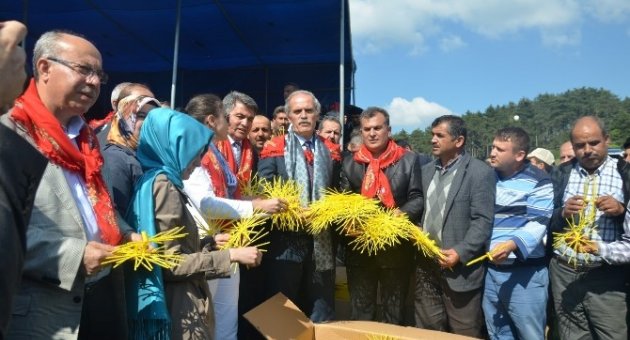 Dağ Yöresi İpek Böceği İle Kalkınıyor