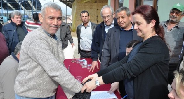 Damızlık Birliğinden Üyelerine Düve Satışı