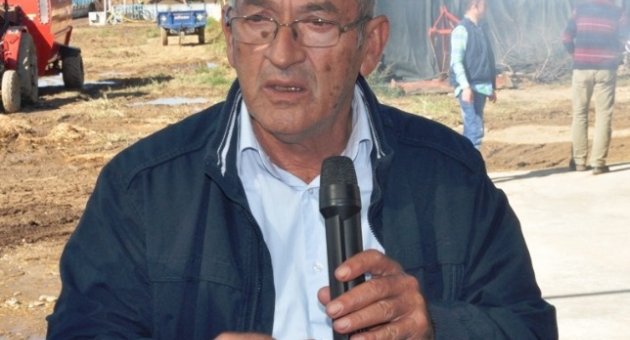 Damızlık Ve Sığır Yetiştiricileri Birliği Düve Satışına Devam Ediyor