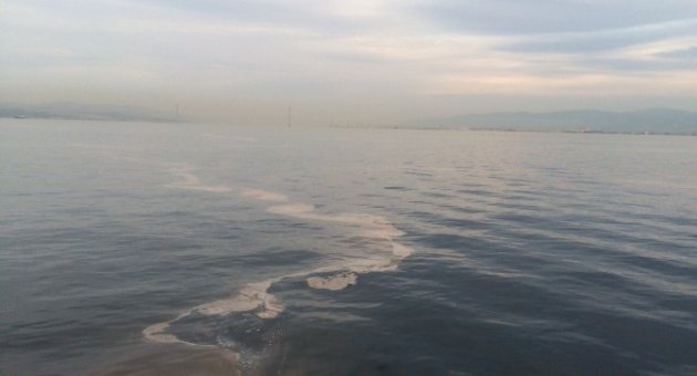 Denizde Kahverengi Tabaka Yalova’da Da Ortaya Çıktı