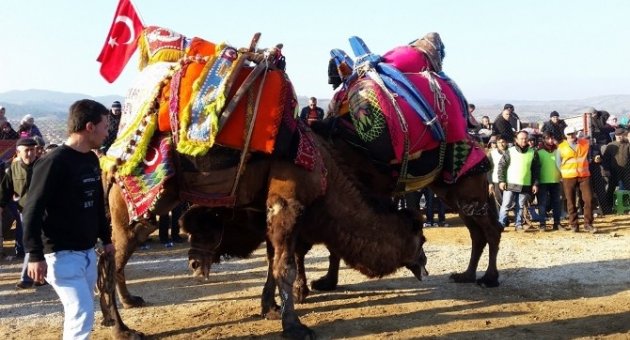 Develer İçme Suyu Yararına Güreştiler