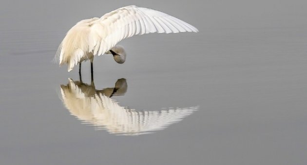 Doğaseverler, ’cennet’i Hem Çizdi Hem Fotoğrafladı
