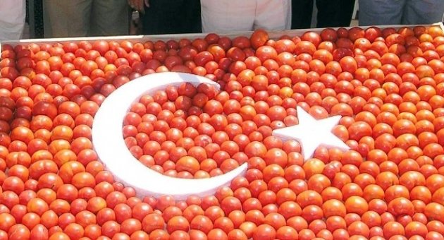 Domates, Soğan Ve Patates Üreticisine Hastalık Uyarısı