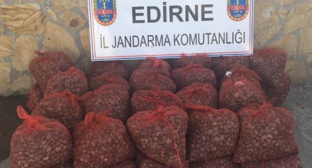 Durdurulan Araçta Midye Yakalandı