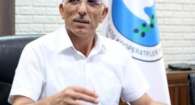 (düzeltme-tekrar) Marmarabirlik’ten Yağlık Zeytine Esnek Fiyat