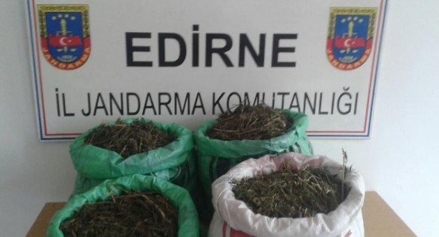 Edirne’de 16,5 Kilogram Kubar Esrar Yakalandı