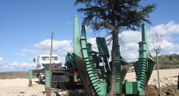 Edirne’de 33 Ağaç Hiç Zarar Görmeden Nakledildi