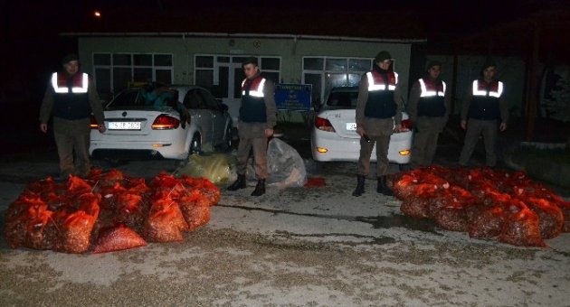 Edirne’de Kaçak Midye Operasyonu