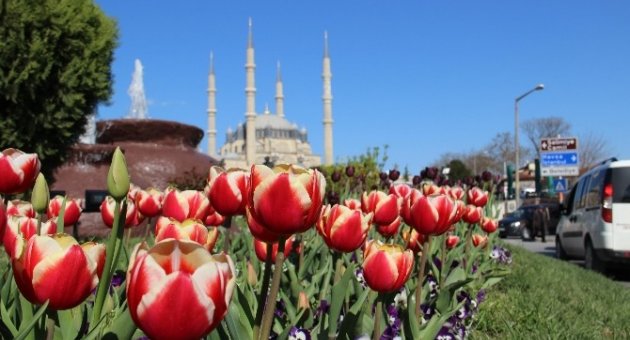 Edirne’de Lale Devri