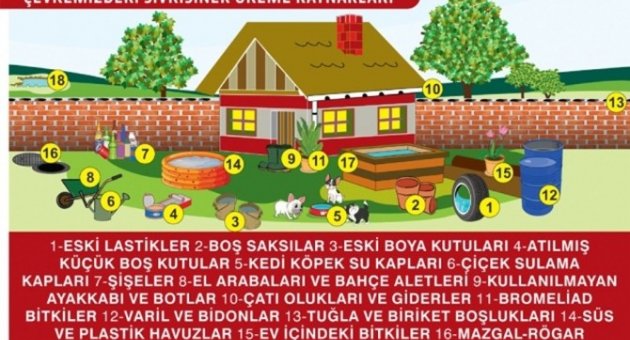 Edirne’de Sivrisinekle ‘alman Usulü’ Mücadele Ediliyor