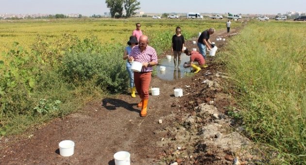 Edirne’de Sivrisineklerle ’alman Usulü’ Mücadele