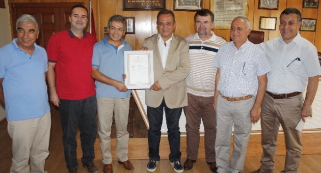 ‘edremit Körfezi Çizik Yeşil Zeytini’ Coğrafi İşareti Tescil Edildi