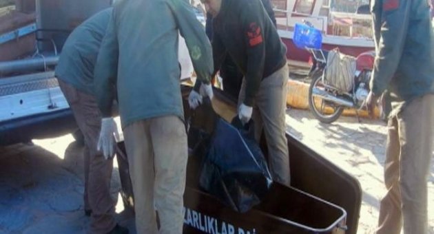 Ege Denizi’nde Göçmen Faciası: 8 Ölü
