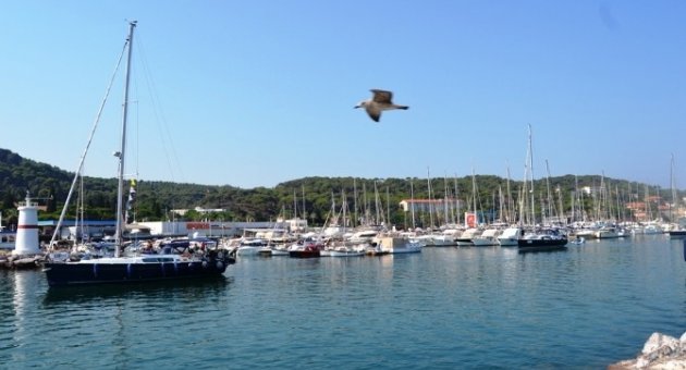 Ege Yat Rallisi Başladı